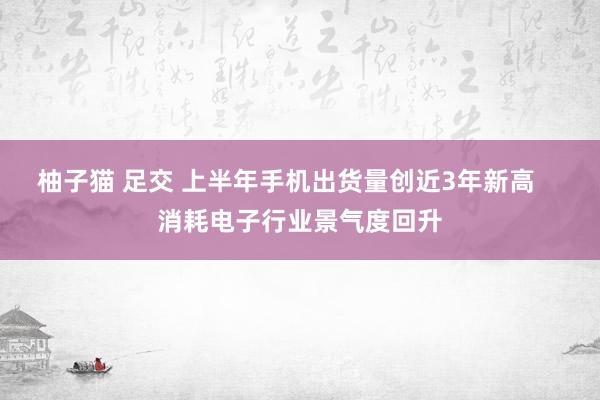 柚子猫 足交 上半年手机出货量创近3年新高    消耗电子行业景气度回升