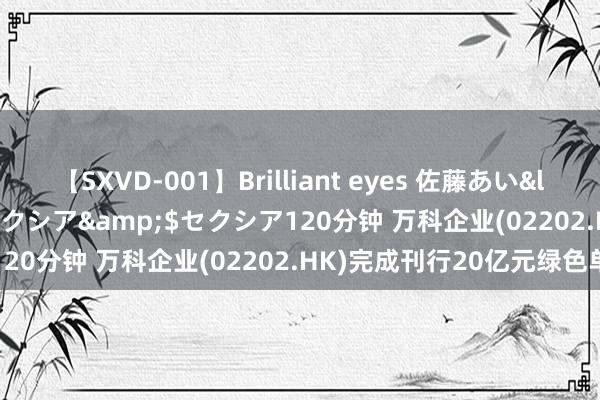 【SXVD-001】Brilliant eyes 佐藤あい</a>2006-11-01セクシア&$セクシア120分钟 万科企业(02202.HK)完成刊行20亿元绿色单据