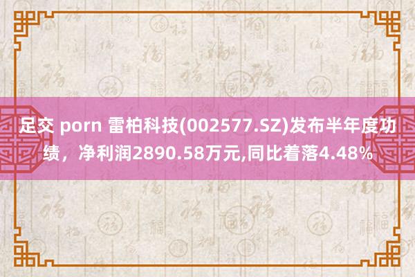 足交 porn 雷柏科技(002577.SZ)发布半年度功绩，净利润2890.58万元，同比着落4.48%