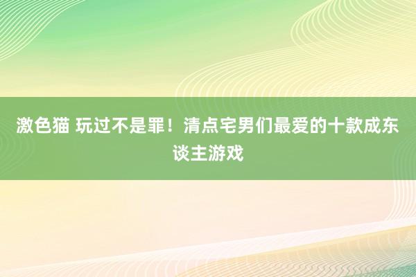 激色猫 玩过不是罪！清点宅男们最爱的十款成东谈主游戏