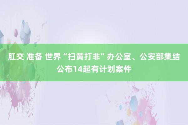 肛交 准备 世界“扫黄打非”办公室、公安部集结公布14起有计划案件