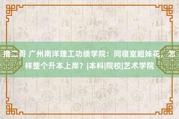 撸二哥 广州南洋理工功绩学院：同寝室姐妹花，怎样整个升本上岸？|本科|院校|艺术学院