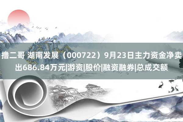 撸二哥 湖南发展（000722）9月23日主力资金净卖出686.84万元|游资|股价|融资融券|总成交额