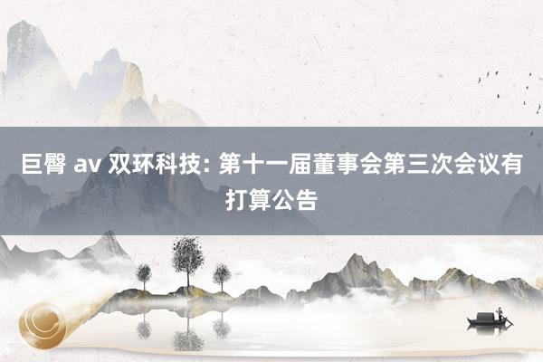 巨臀 av 双环科技: 第十一届董事会第三次会议有打算公告