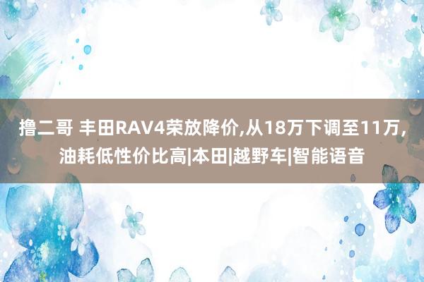 撸二哥 丰田RAV4荣放降价，从18万下调至11万，油耗低性价比高|本田|越野车|智能语音